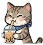 Drinking cat